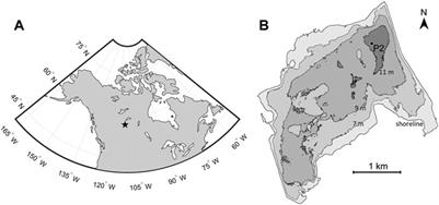 Ebullition Regulated by Pressure Variations in a Boreal Pit Lake